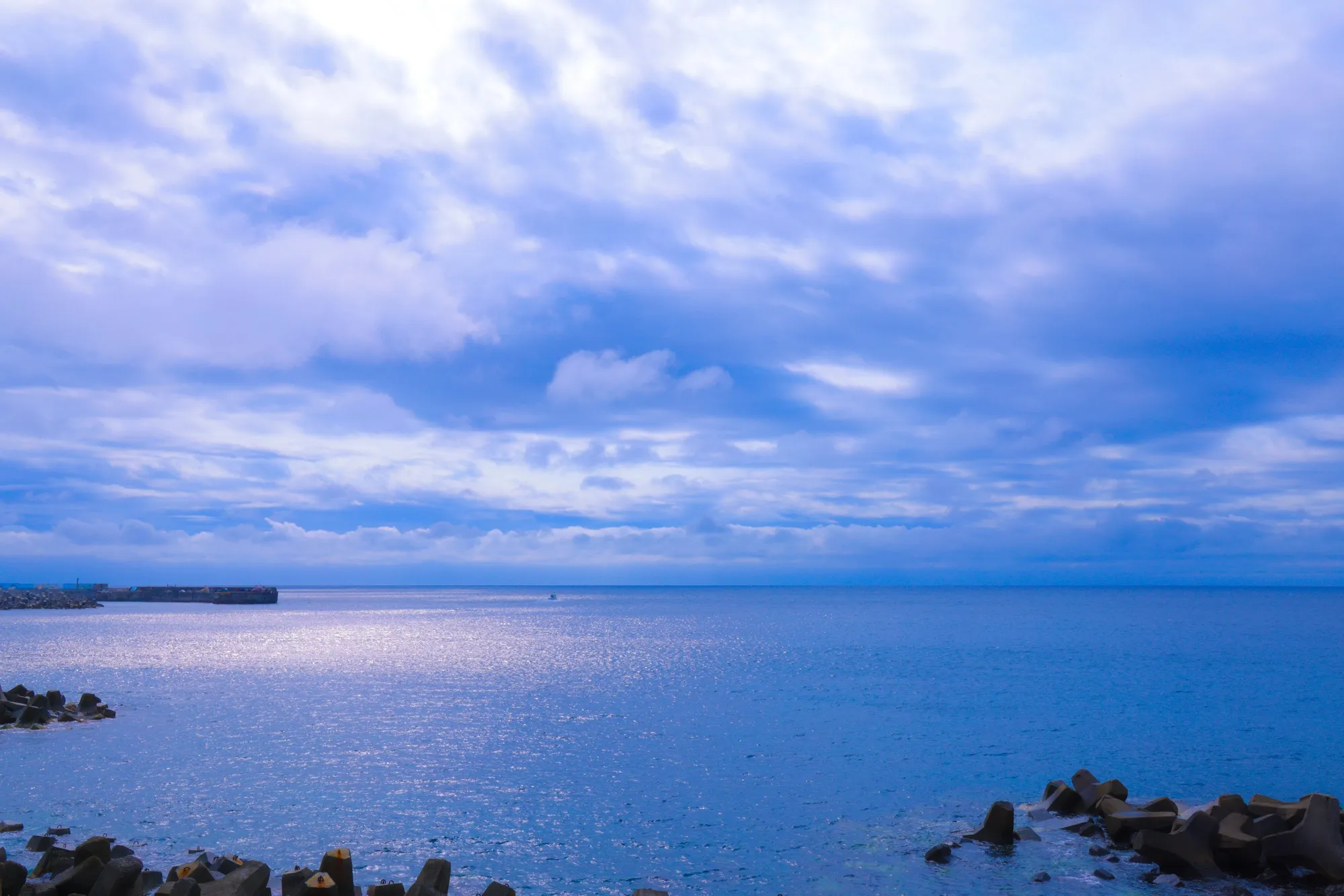 EE704F21-A4B4-42EA-BBF3-7021115284A1